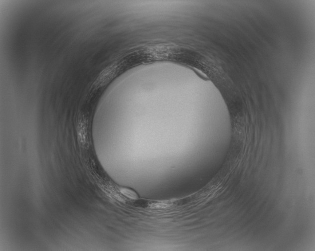 X0000052560139200507221446
