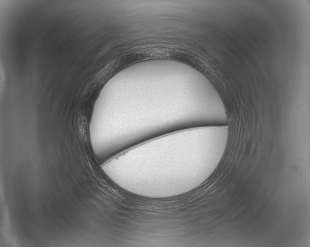 X0000052560141200507221445