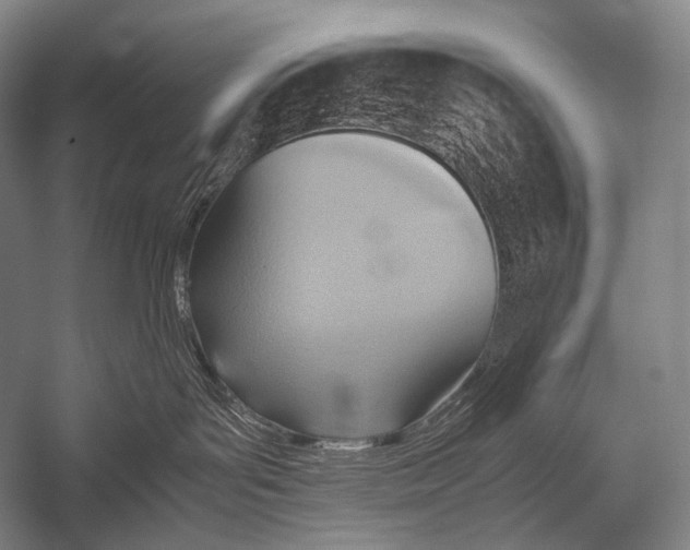 X0000052560143200507221445