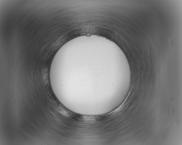 X0000052560144200507221445