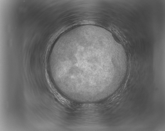 X0000052560145200507221445