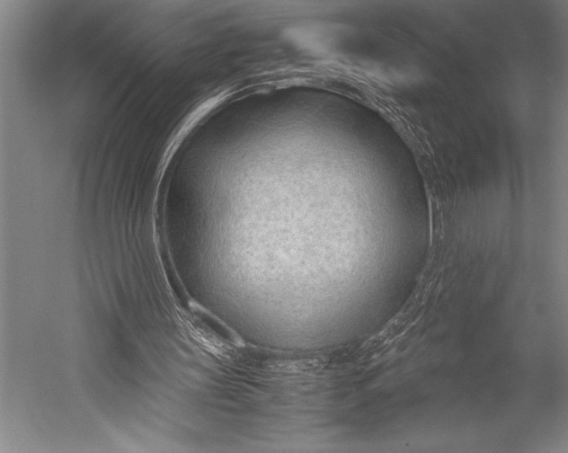 X0000052560147200507221445