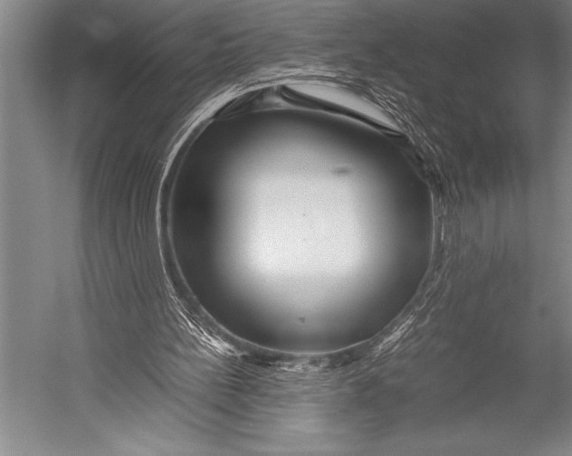 X0000052560148200507221445