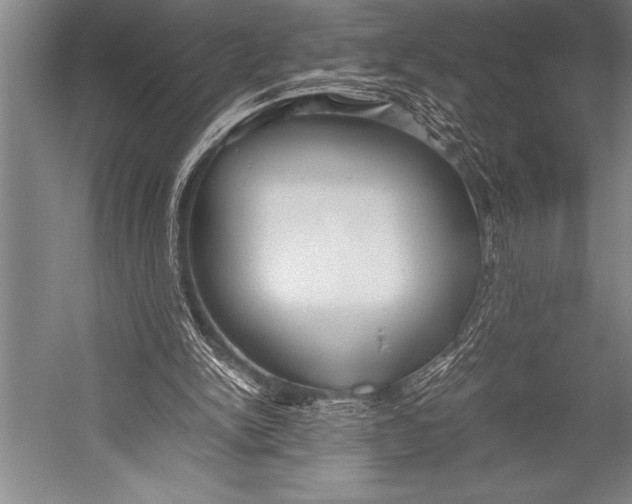 X0000052560150200507221445