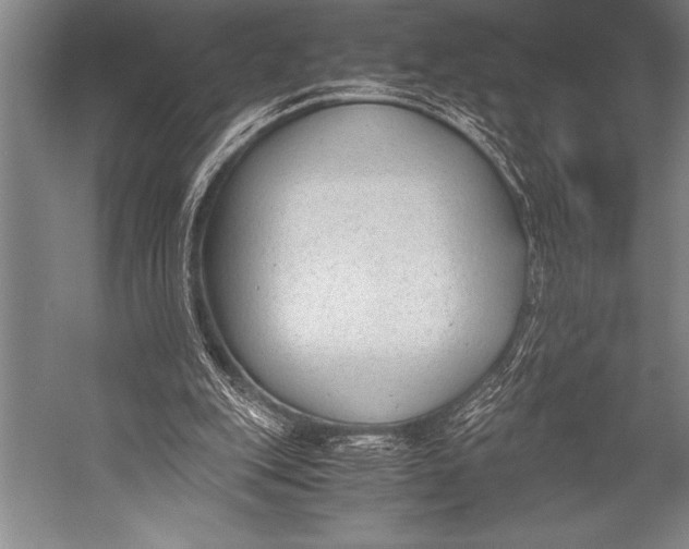 X0000052560151200507221445