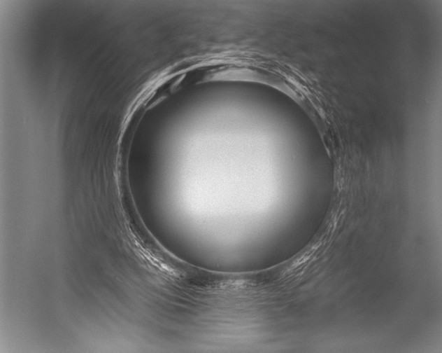X0000052560152200507221445