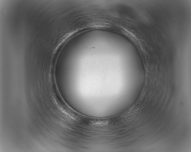 X0000052560155200507221445