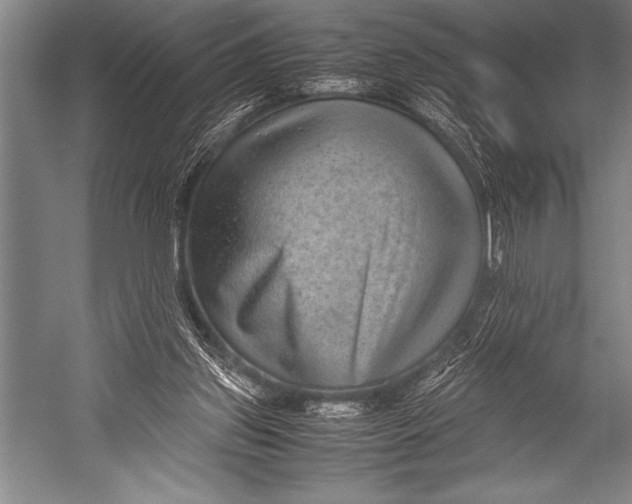 X0000052560157200507221445