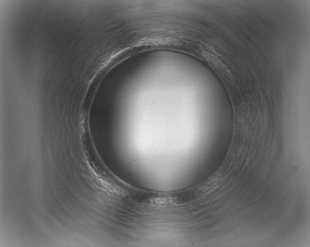 X0000052560160200507221445
