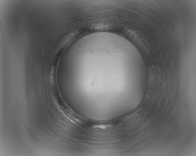 X0000052560163200507221445