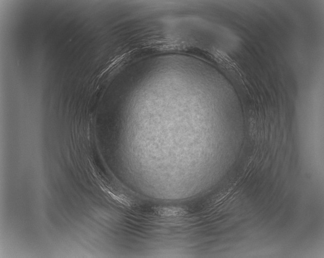 X0000052560165200507221445