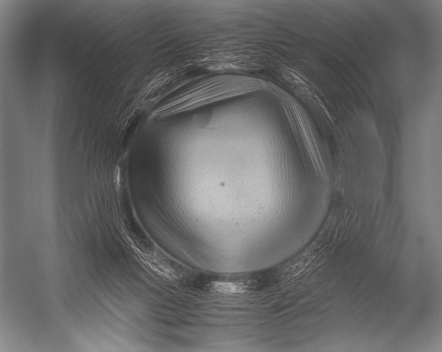 X0000052560167200507221445