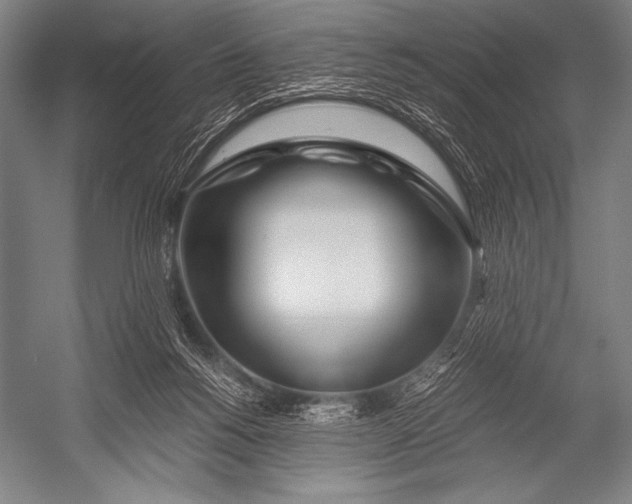 X0000052560168200507221445