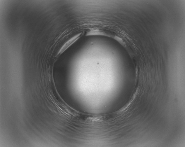 X0000052560170200507221445