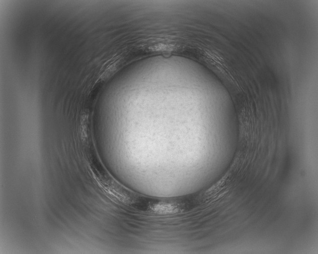X0000052560171200507221445