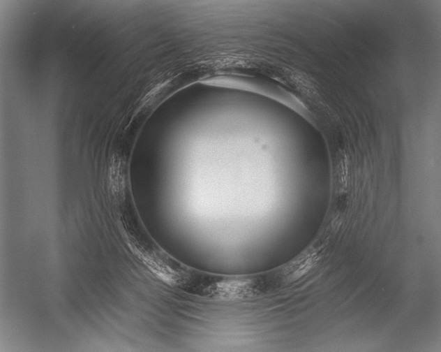 X0000052560172200507221445