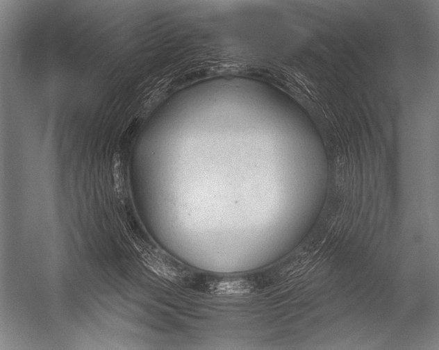X0000052560173200507221445