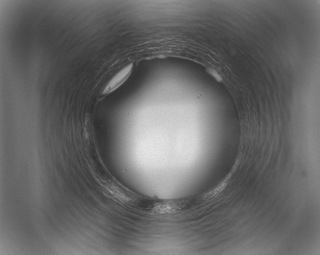 X0000052560174200507221445
