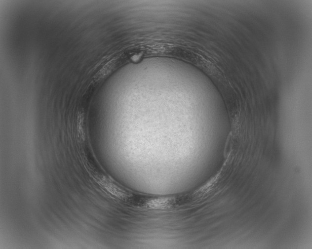 X0000052560178200507221445