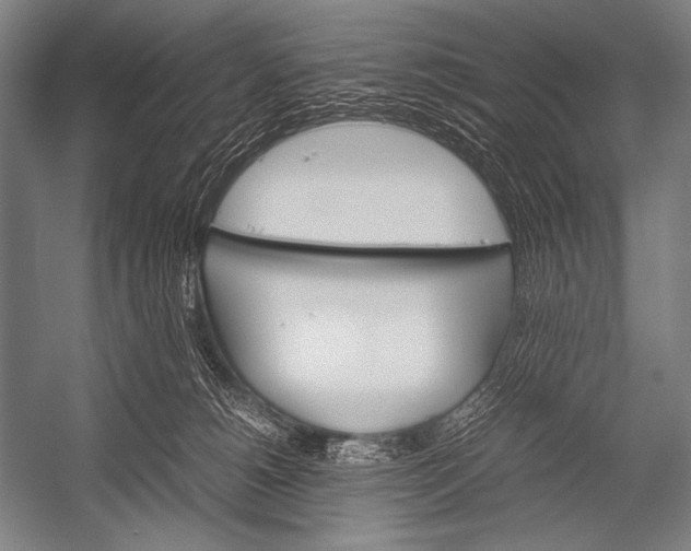 X0000052560180200507221445