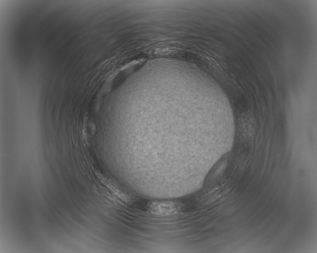 X0000052560181200507221445