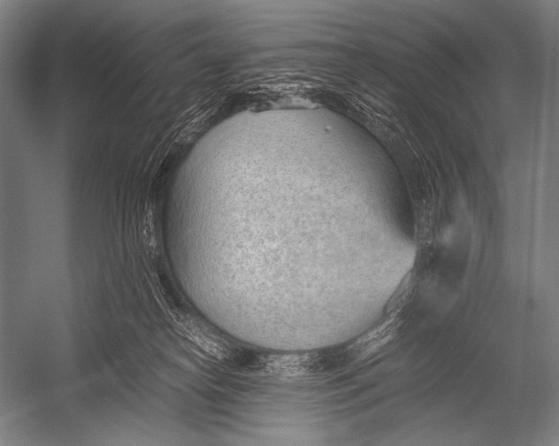 X0000052560182200507221445