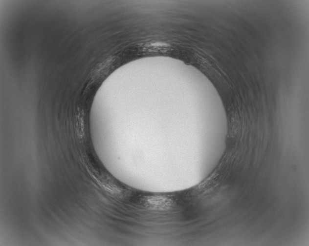 X0000052560183200507221445