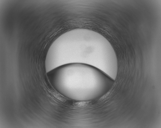 X0000052560184200507221445