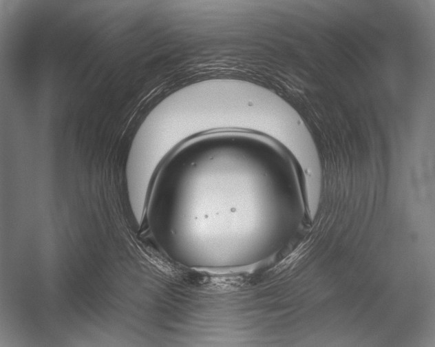X0000052560188200507221445