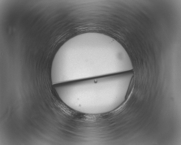 X0000052560190200507221445