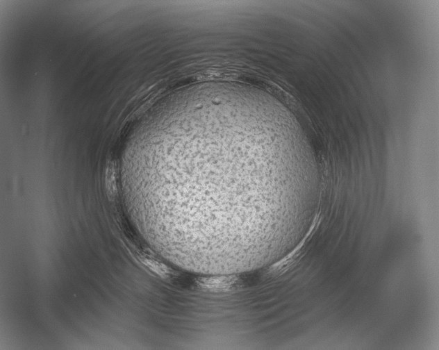 X0000052560191200507221445
