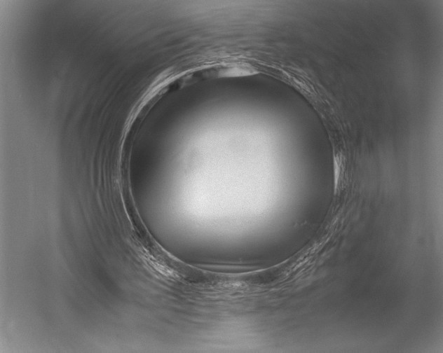 X0000052560195200507221445