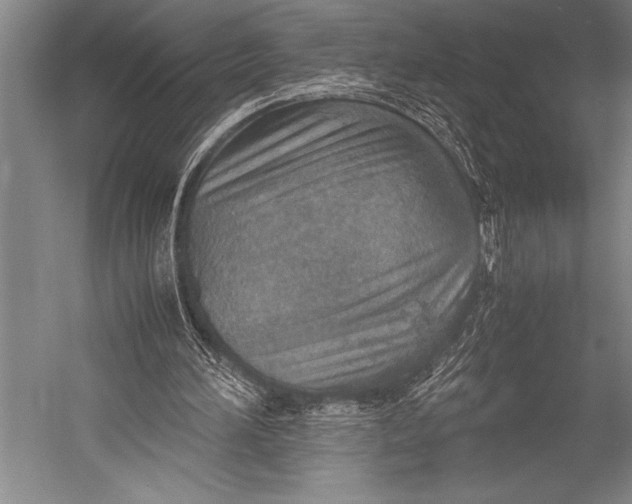 X0000052560196200507221445