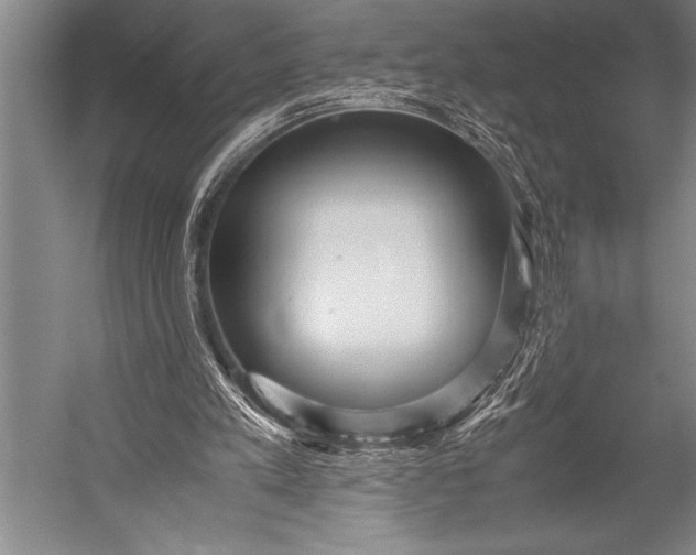 X0000052560197200507221445
