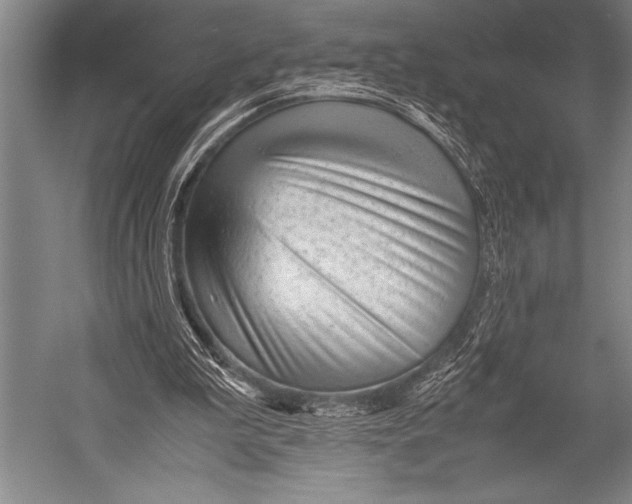 X0000052560199200507221444