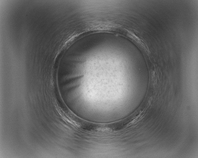 X0000052560203200507221444