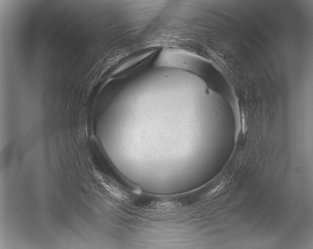X0000052560205200507221444