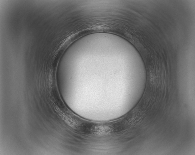 X0000052560208200507221444