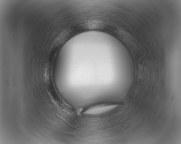 X0000052560210200507221444