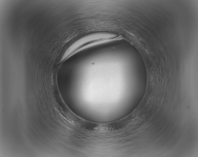 X0000052560211200507221444