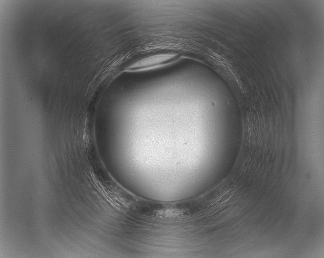 X0000052560212200507221444