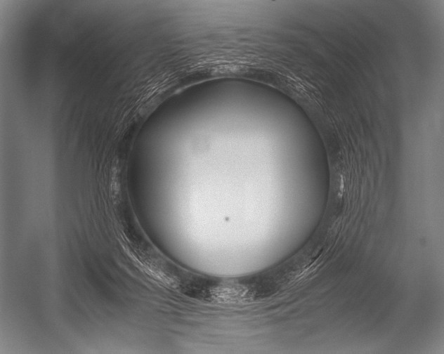 X0000052560215200507221444