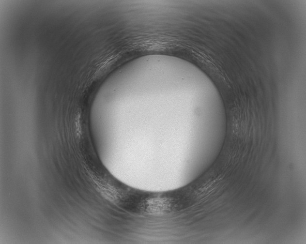 X0000052560216200507221444