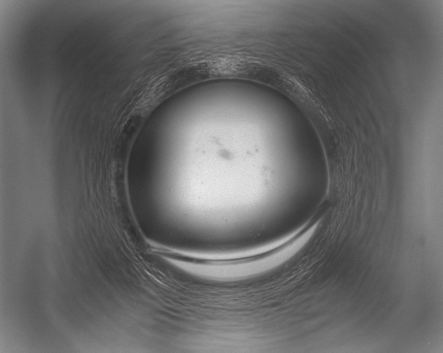 X0000052560217200507221444