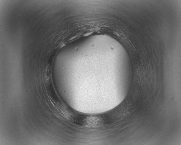 X0000052560218200507221444