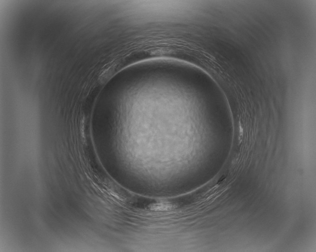 X0000052560219200507221444