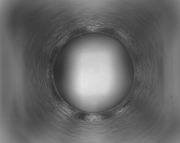 X0000052560221200507221444