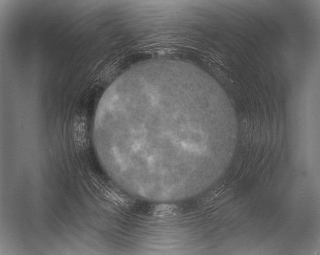 X0000052560222200507221444