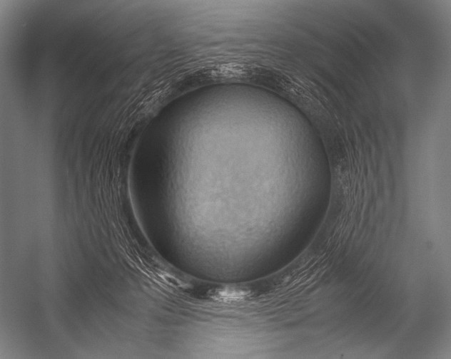 X0000052560223200507221444