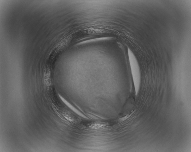 X0000052560224200507221444